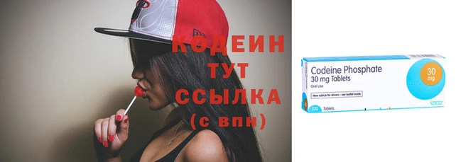 прущие грибы Баксан