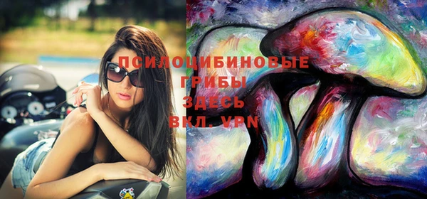 ПСИЛОЦИБИНОВЫЕ ГРИБЫ Балахна