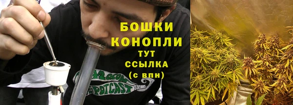 ПСИЛОЦИБИНОВЫЕ ГРИБЫ Балахна