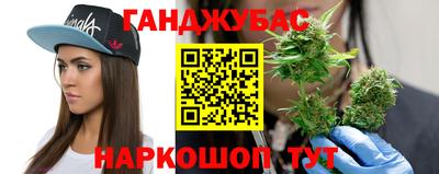 гидропоника Пугачёв