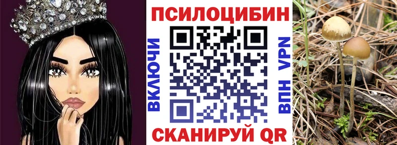 Галлюциногенные грибы Psilocybine cubensis  даркнет сайт  Армавир 