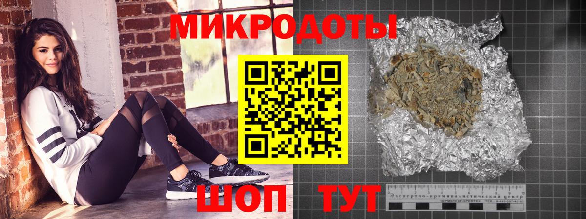 Псилоцибиновые грибы Psilocybe Армавир